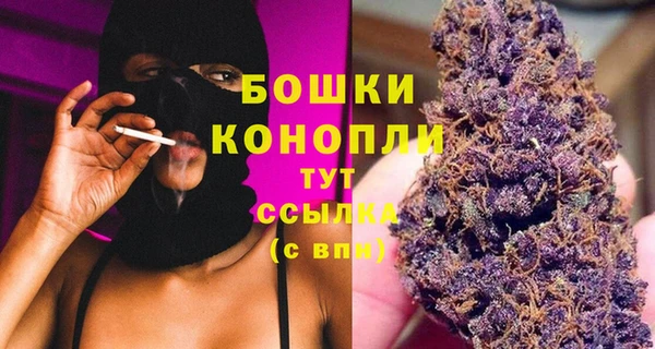 дурь Каменка