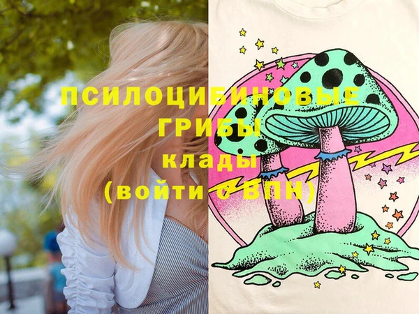 a pvp Каменск-Шахтинский