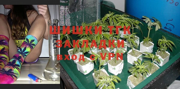 apvp Каменногорск