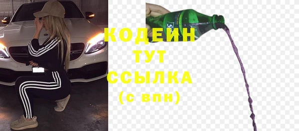 дурь Каменка
