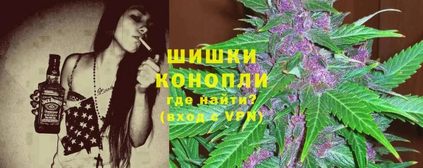 apvp Каменногорск