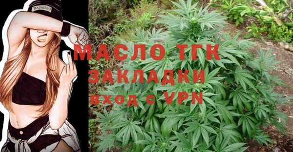 дурь Каменка