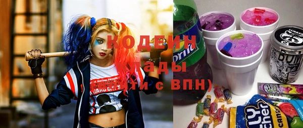 дурь Каменка