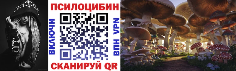 Псилоцибиновые грибы Psilocybine cubensis  Купить где  Ивантеевка 
